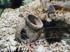 -太平洋海底世界