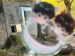 -都江堰中华大熊猫苑