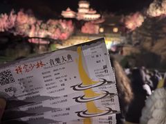 -禅宗少林·音乐大典