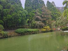 -玉苍山国家森林公园