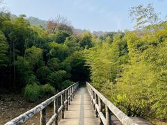-宝界山林公园