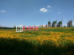 -丁香湖公园