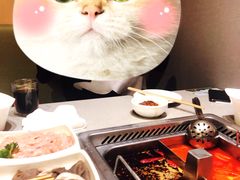 -海底捞火锅(青悦城店)