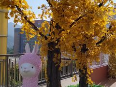 -新城市广场