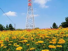 -羊亭河湿地公园