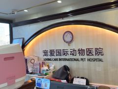 -宠爱国际动物医院·消化内科·心肾内科·ISFM猫友好(望京店)
