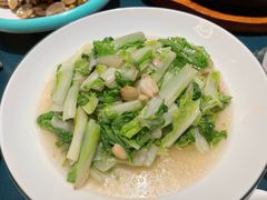 有机小白菜-皇宫大酒店