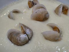 -四海鲜渔家菜(黄金海岸店)