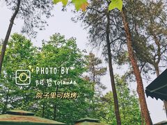 -铁山坪森林公园