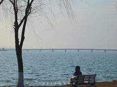 -漕湖湿地公园