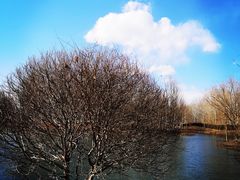 -东郊湿地公园