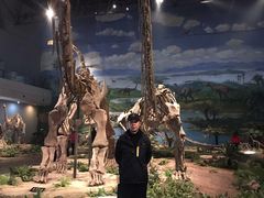 -自贡恐龙博物馆