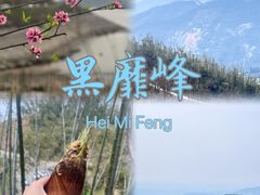 -长沙黑麋峰国家森林公园