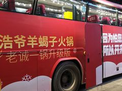 -浩爷羊蝎子火锅(望京店)