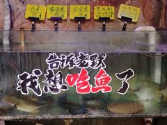 -辉记炭烧海鲜大排档·老字号(福田店)