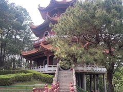 -三水森林公园