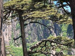 -黄山风景区