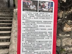 -半月镰胡姐脆皮萝卜饺子