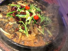 -老板恋上鱼(恒隆广场店)