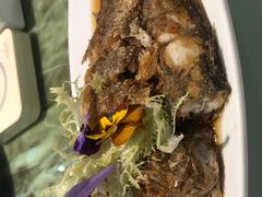 糟香小黄鱼-申粤轩酒楼·三十年粤菜经典(丁香花园店)