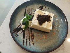-飞行喵MR PILOT|猫舍·猫咖(静安大融城店)
