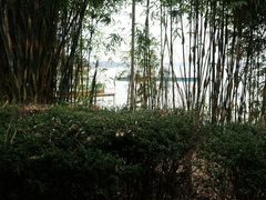 -山湖温泉
