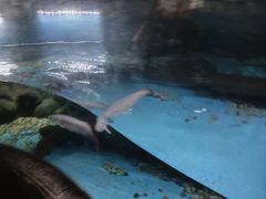 -苏州海洋馆