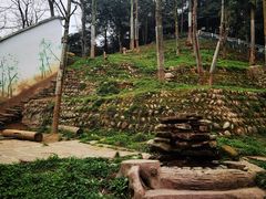 -中国大熊猫保护研究中心雅安碧峰峡基地