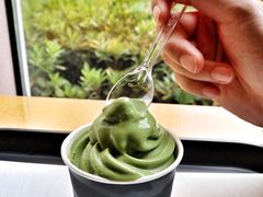 -雪绿茶博物馆