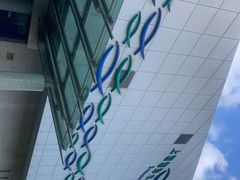 -上海海洋水族馆