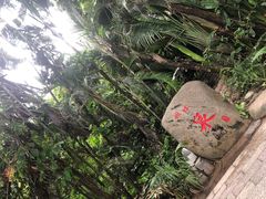 -海南槟榔谷黎苗文化旅游区