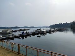 -仙海旅游度假区