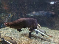 -太平洋海底世界