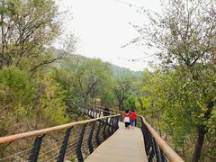 -白水寺森林公园