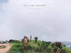 -七娘山