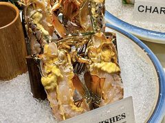 -喜聚薈·花膠雞海鮮火鍋(越秀店)