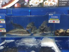-船梆煮•蒸汽海鲜·生腌干蒸(五四广场店)