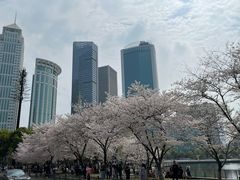 -武汉长江大桥