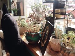 -Kitchen·Y洋厨房西餐厅(王府壹号店)