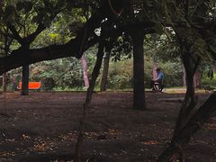 -元大都城垣遗址公园