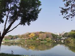 -海珠湖公园