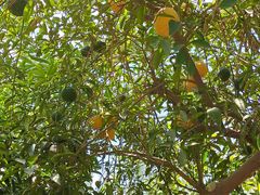 -北京植物园-展览温室