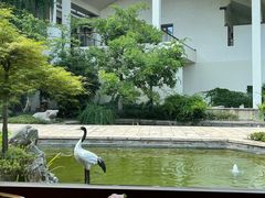 -广富林宰相府酒店·水云间