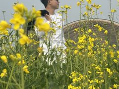 -中国天府农业博览园