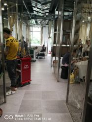 -MAGIC米几发型设计·羊毛卷