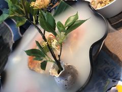 -雀舞云南菜(乐客城店)