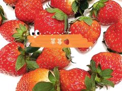 -南湖宾馆·鸳湖阁全日制餐厅