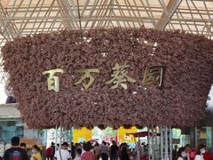 -百万葵园