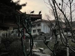 -舜耕山庄四时万和自助餐厅