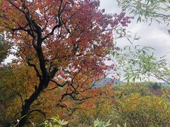 -塔川景区